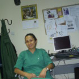 Doğuş Palavan
