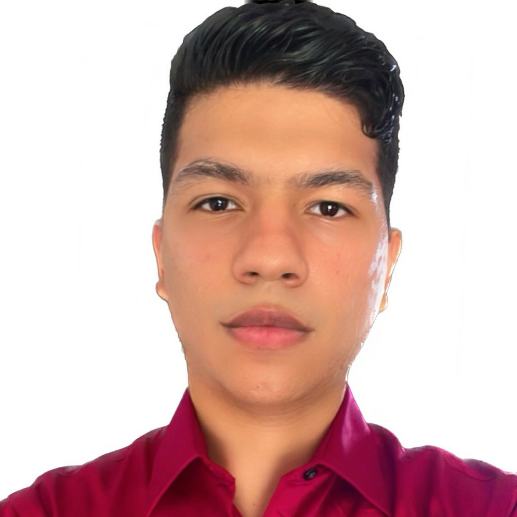 Luis Quintero Logistics Coordinator G.E.T. Lean Solutions XING