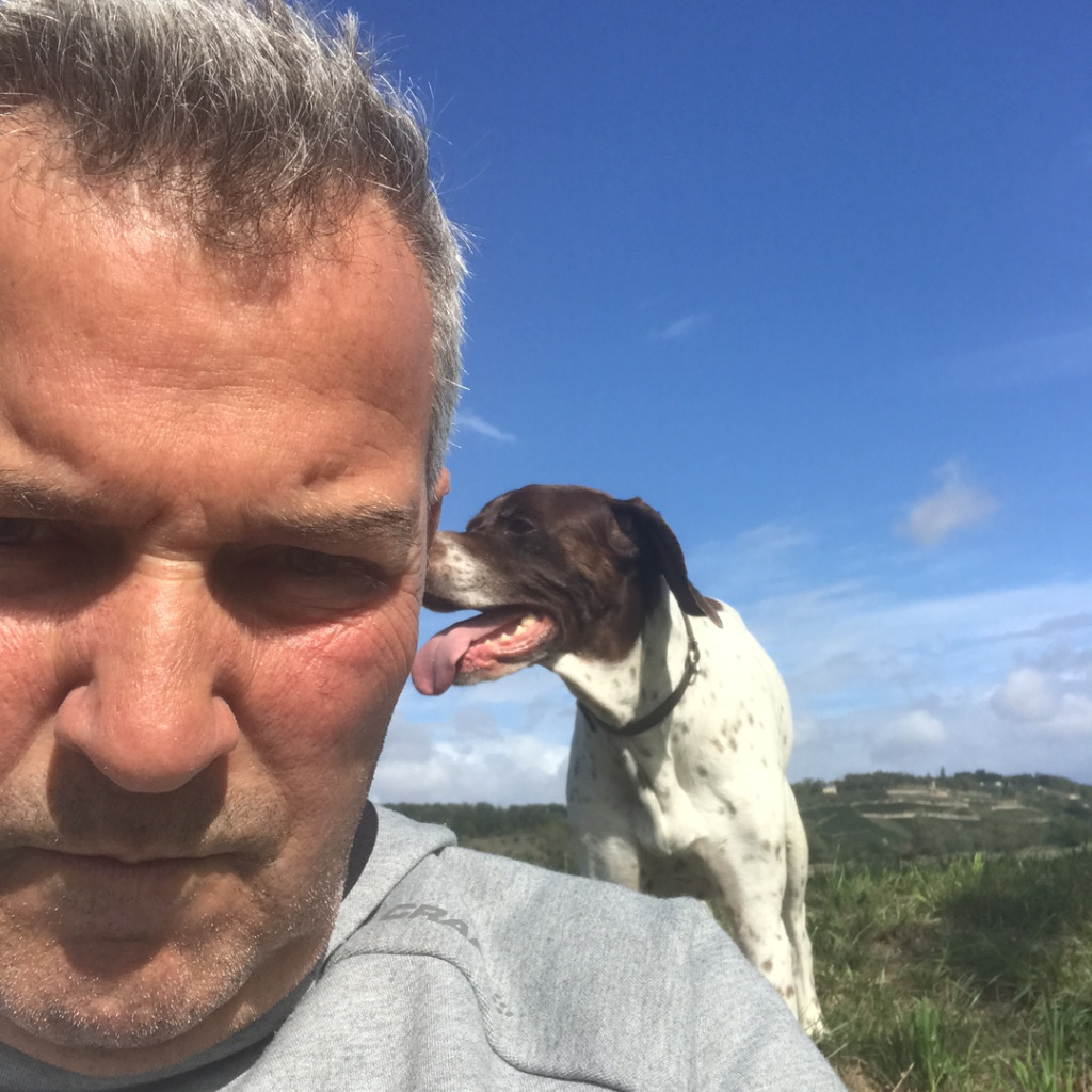 Stefan Röhrborn Sales Representative Sachsen, SachsenAnhalt