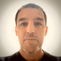 Steffen Stark