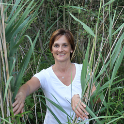 Annett Fiedler