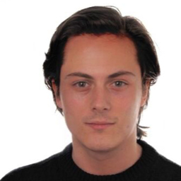 Ing. Diego Tonghini
