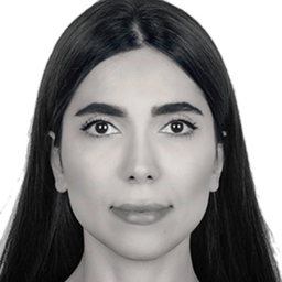 Fatemeh Ansari