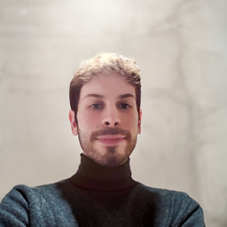 Rami Anis