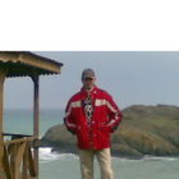 Alper Demirel