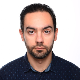 Vladimir Petkov