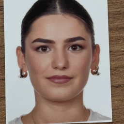 Soli Mohammad