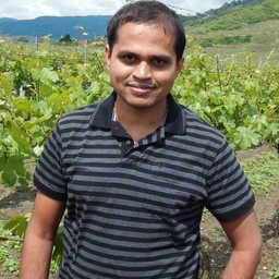 Vikas Megaravalli