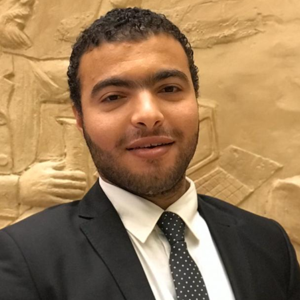 Abdalla ali expert software testing engineer orange egypt company