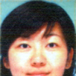力 张