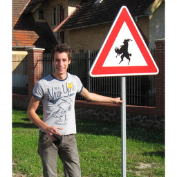 Giorgio Festi