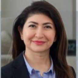 Sepideh Rafati