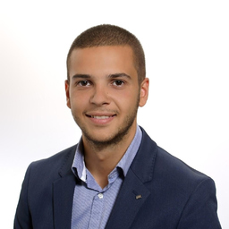 Mirza Sadic