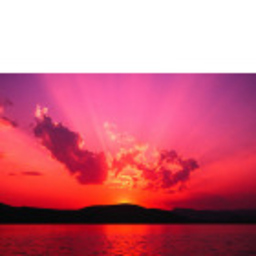 Petra Liliana Müller