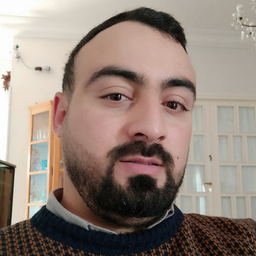 Walid Saad