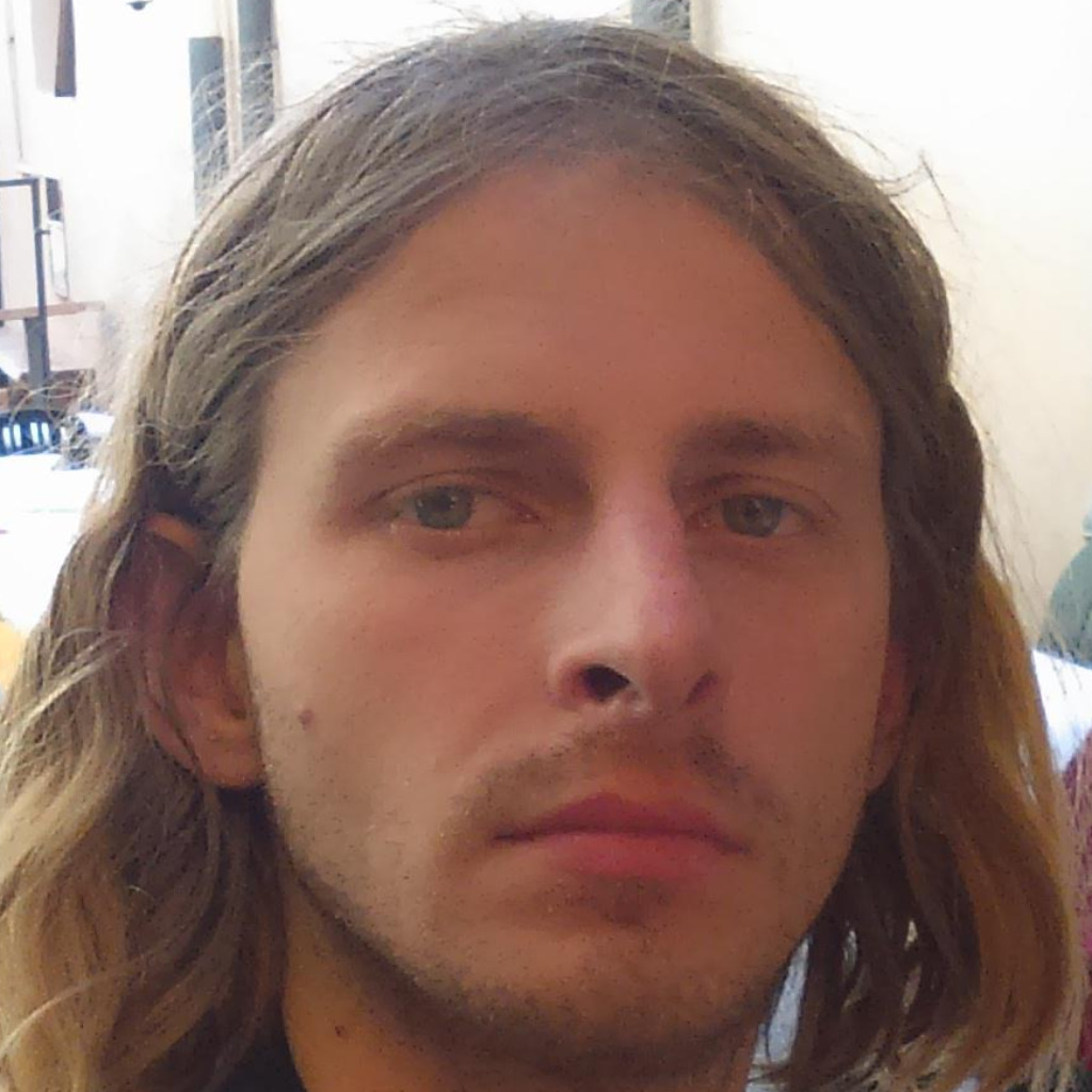 Evgeny lutsev software developer isis papyrus software xing