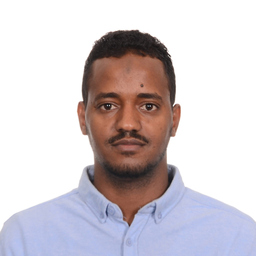 IMADELDIN MOHAMED