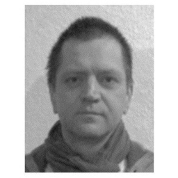 Daniel Rothe