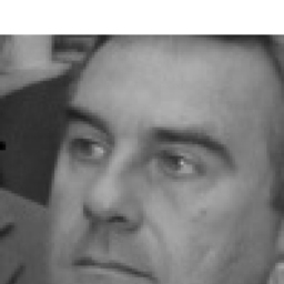 Dr. Björn Binder