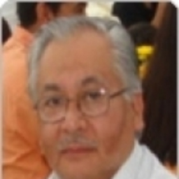 Luis Palomino Iparraguirre