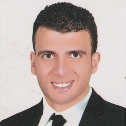 ahmed abouelmaaty