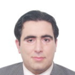 Ali M Attar