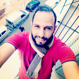 Prof. Dr. nabil boucherit