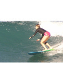 Vicki Schulte