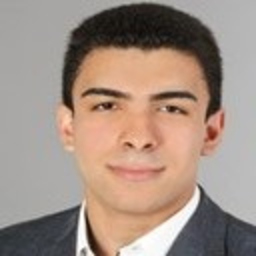 Shahin Fardzadeh