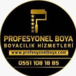 Profesyonel Boya