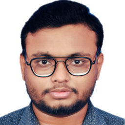 Niloy Saha Roy