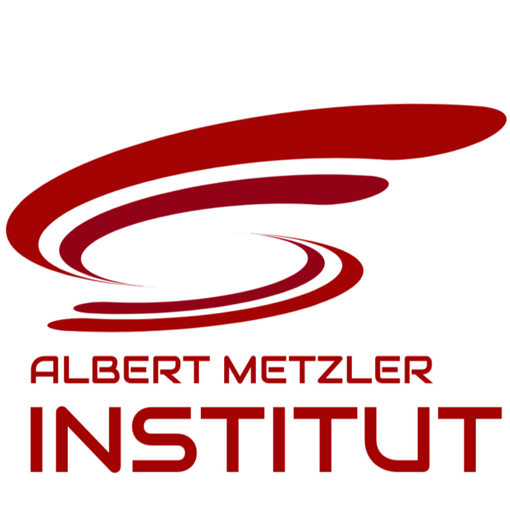 Albert Metzler GF, SEO ALBERT METZLER ⎮ INSTITUTE XING