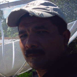 ricardo sarmiento