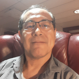 Mario Flores
