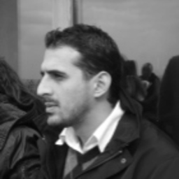 Ozgur Palulu
