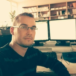 Gergo Sari