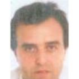 Miguel del Amo Llavet