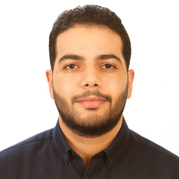 Mohamed Issam Hamed Ali