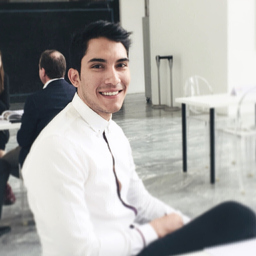 Dipl.-Ing. Luis Eloy Sereno Hernandez