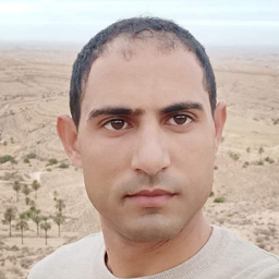 Mohamed Lazreg