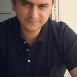 Yasin Maden