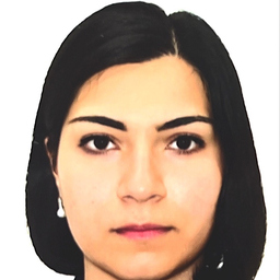 Shokoufeh Metanat
