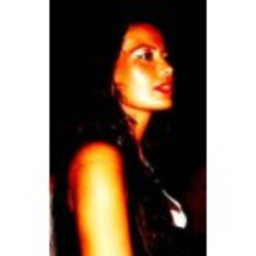 E. Ceyda Celayir