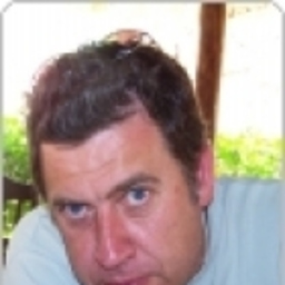 Manel Gómez Gil