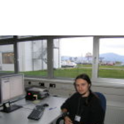 Viorel Sofletea