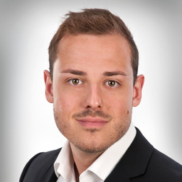 Fabio Schmiedel's profile picture