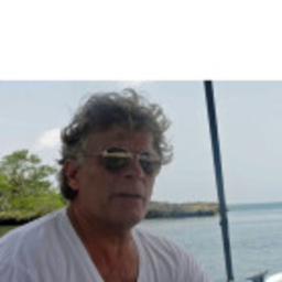 Renato Visetti