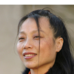 Hongfeng Yang