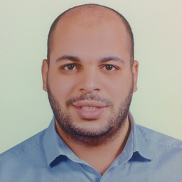 Karim Azzam