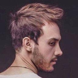 Ing. Sina Babakhani's profile picture